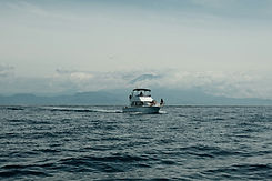 Image by Kseniia Zapiatkina