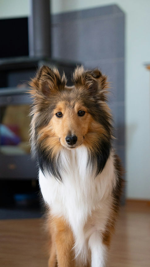 Image by Fridi Antrack