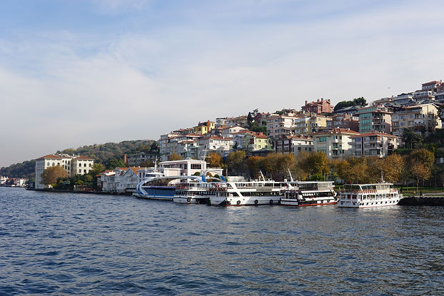 Image by Dmytro Nazarko