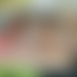 Audience Behavior: What a Digital Marketing Agency Can Tell You About Your Target Audience (and How to Convert Them)