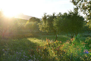 Image by Marcel Smits