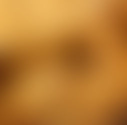 Pão Francês Atrapalha a Dieta? Entenda se Ele Realmente Engorda ou Pode Fazer Parte do Emagrecimento
