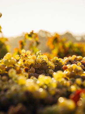 New Wine, New Heart: Following Jesus Beyond Tradition (Mark 2 Meaning Explained)