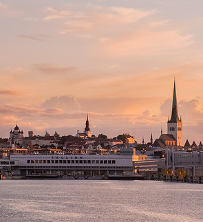 Image by Julia Solonina