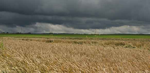 cultivo tormenta cereal