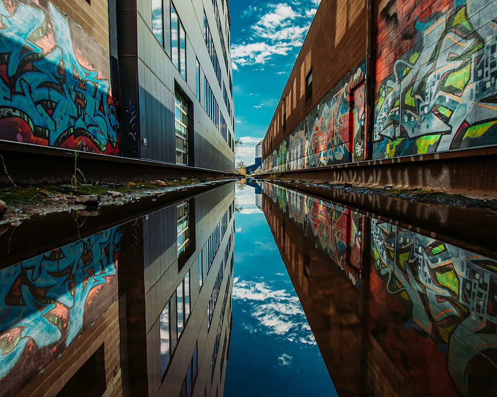 Image by Jakob Rosen