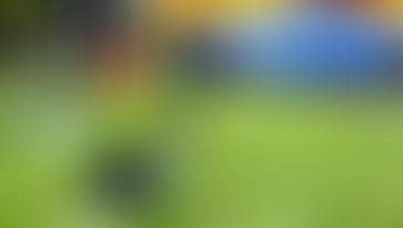 9/20 Community Family Fun Day at Cornish Fairgrounds