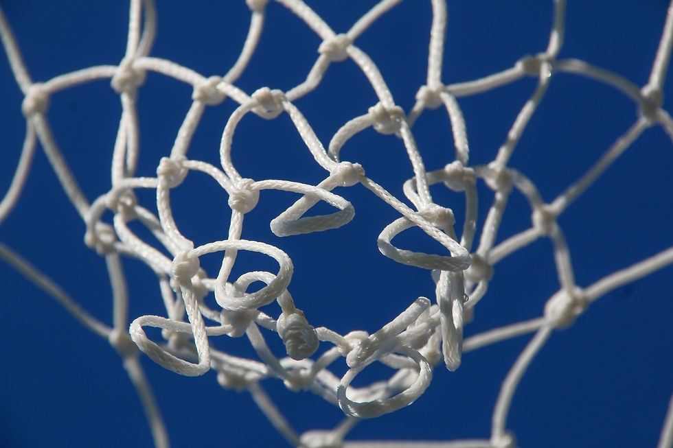Image of a netball net