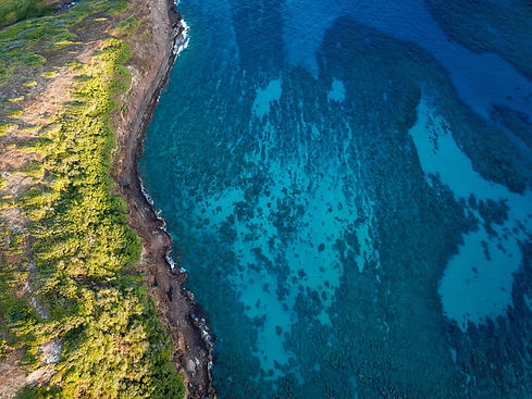 Picture of reef and water during snorkeling lessons at Hanauma Bay with Honolulu Snorkel Company.
