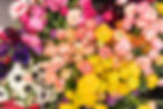 Test arrangement