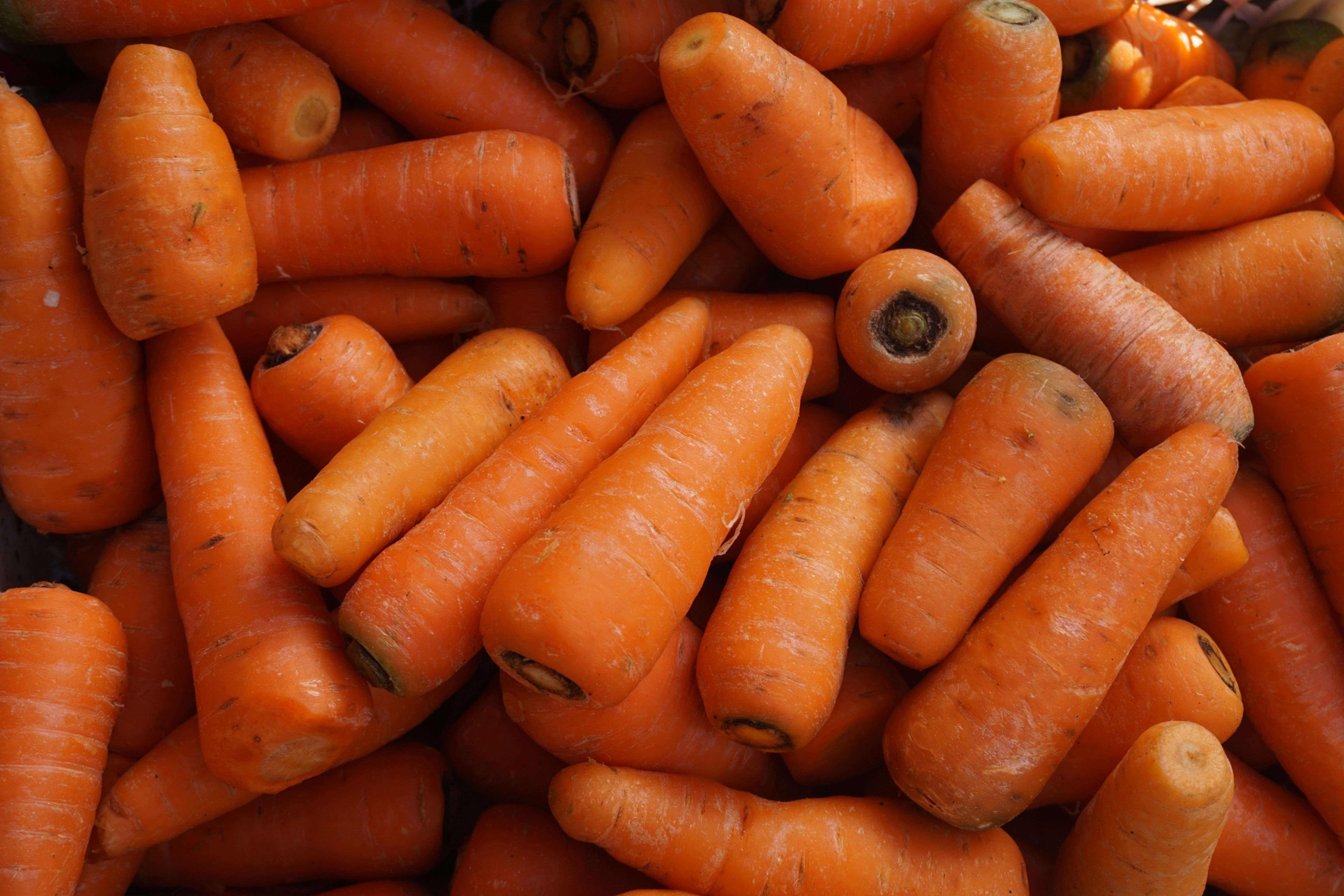 Carrots