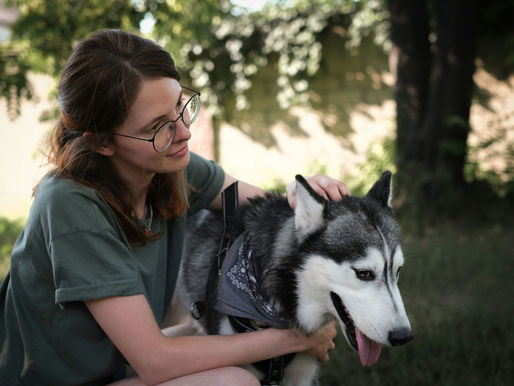 Dia do Médico-Veterinário: a arte de cuidar de quem não fala, mas ama sem limites, os pets