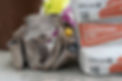tool belt and three bags of multi finish plaster