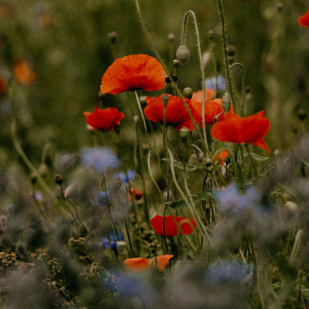 The abstraction of love