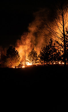 Image de Egor Vikhrev