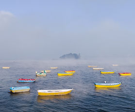 Bhopal 3-Night Tour (Superior)