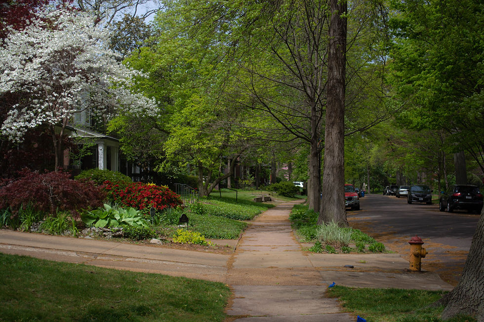 Planning & Zoning Commission Meeting