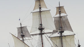 Vitamin C - To Supplement or Not?