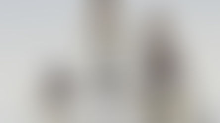 Vitamin C - To Supplement or Not?