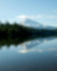 Image by Lance Reis