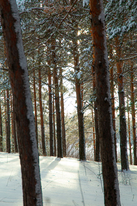 What DRAP taught us about the impact of workforce adjustment (WFA) - and why it matters now