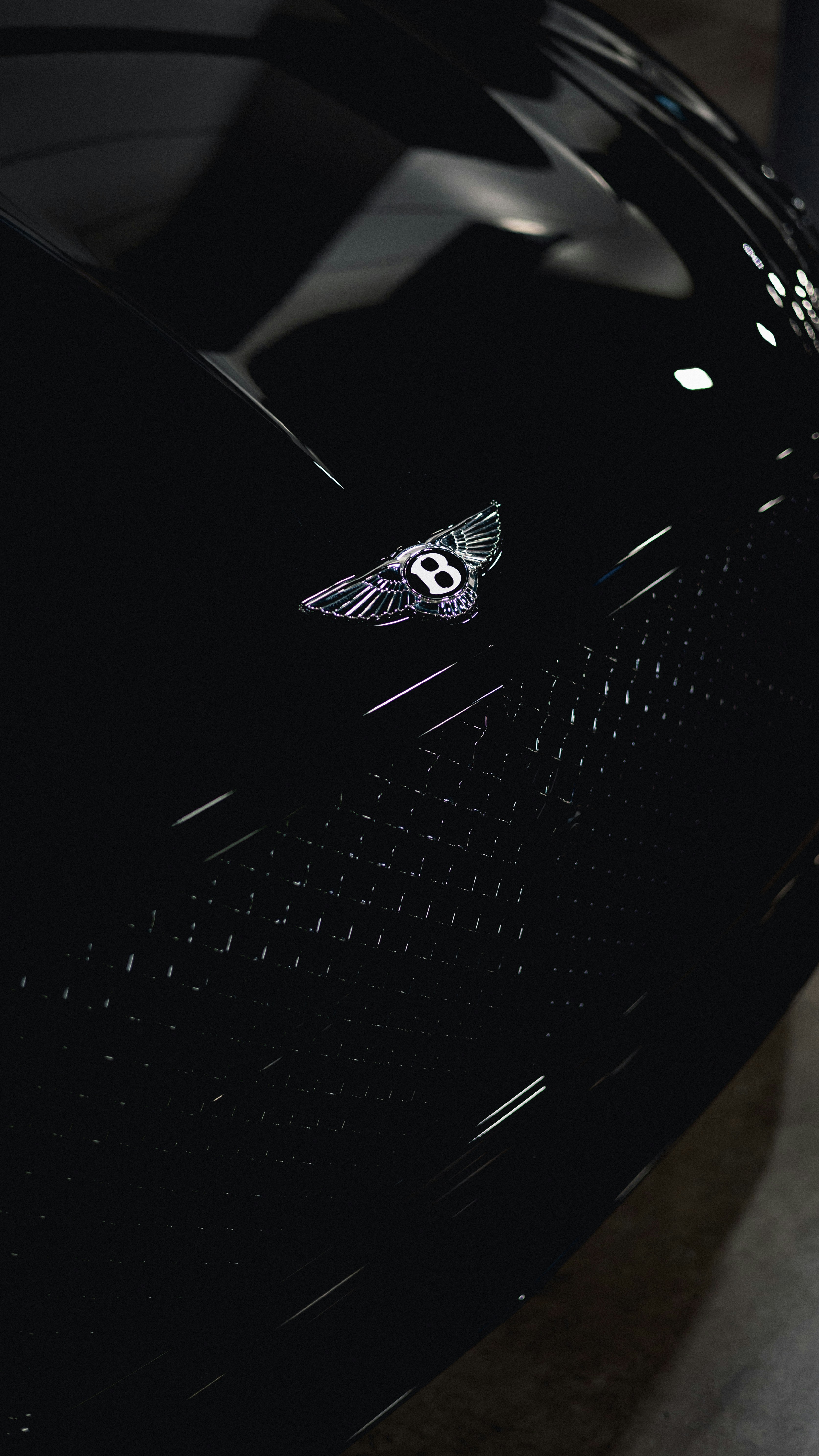 Image by Alexander Ediker