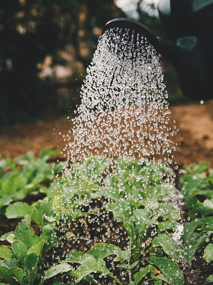 Image by Markus Spiske