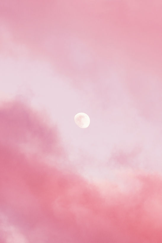 Image by J Lee