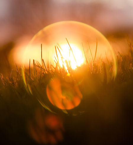 Grass with sun shining in background projecting a circle of light