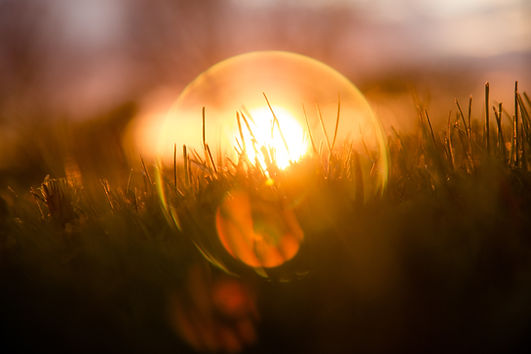 Image by William Duggan