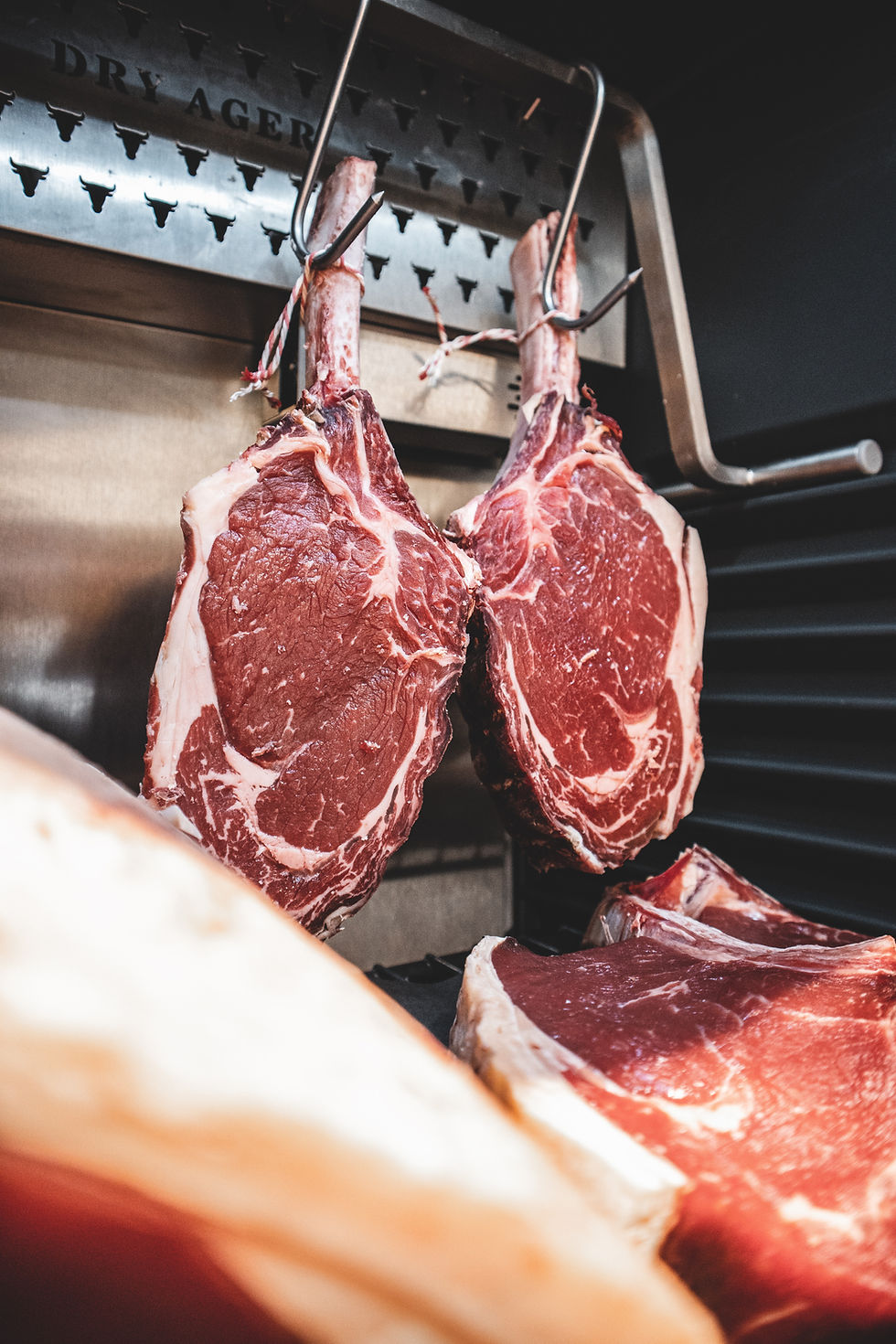 Zwei große Stücke Galloway-Rindfleisch hängen im Dry Ager zur Reifung