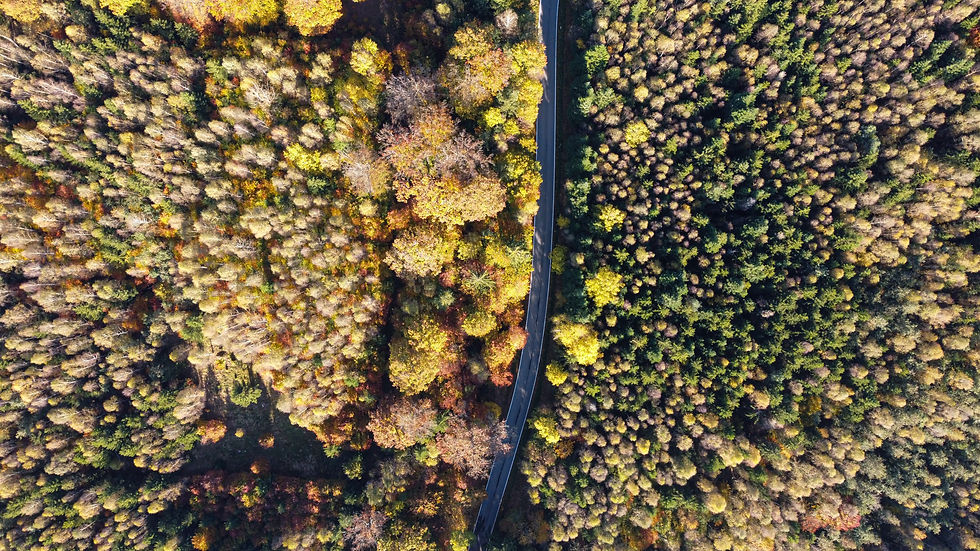 Nature