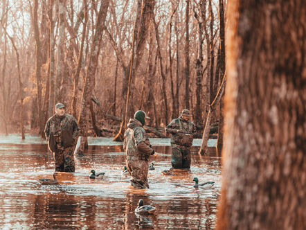 Duck Hunting