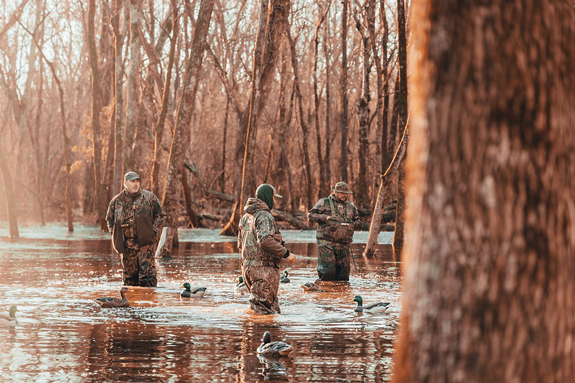 Image by Aaron James