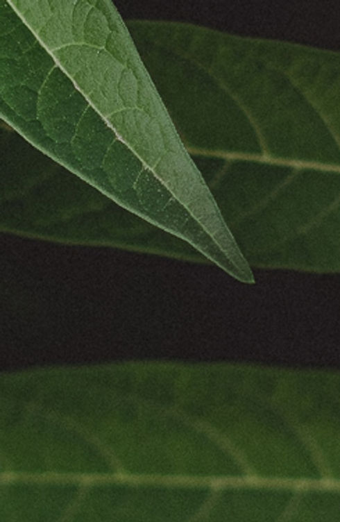 Image by Vladislav Filippov