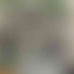 Beautiful picture of old buildings in charming lanes ways in the UK.