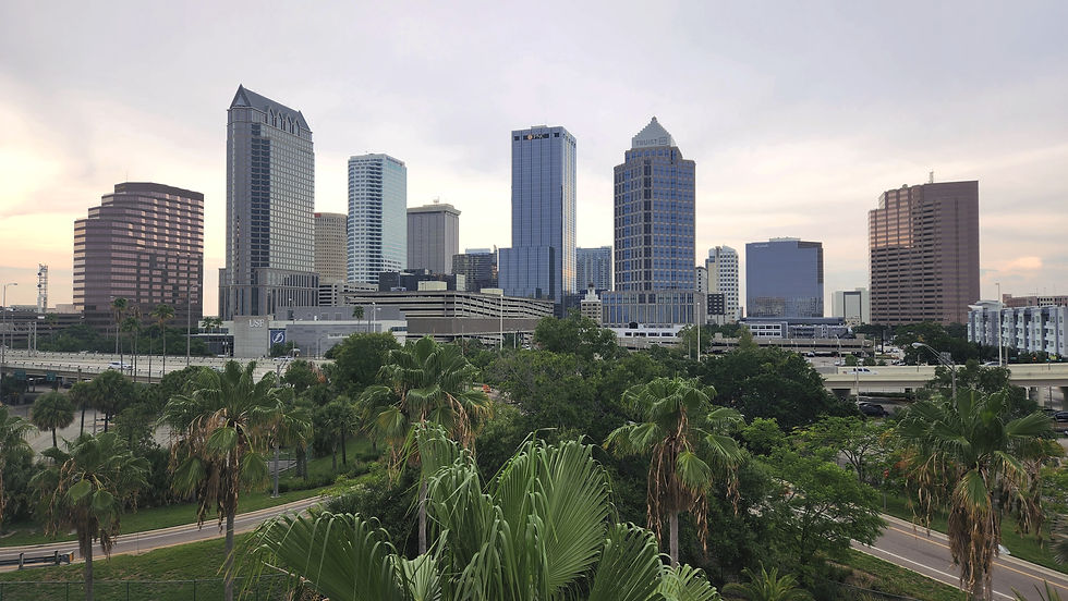 A view of the Tampa, Florida skyline at dusk, featuring tall office buildings, palm trees in the foreground, and a highway running through the scene.