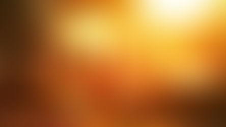 Toplanmak: İnsan Neden Aynı Yerde Olmak İster?