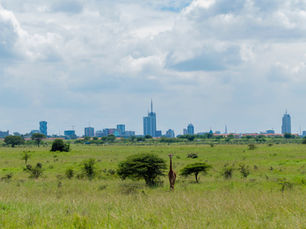 Environmental Impact Assessments: What Developers Need to Know