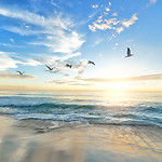 Image by frank mckenna