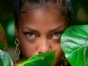 Rooted or Transplanted