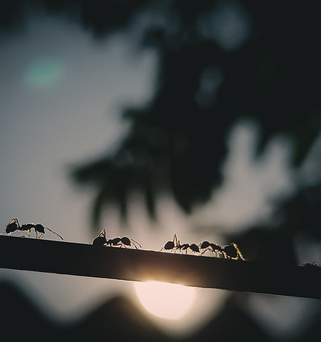 Image by Prabir Kashyap