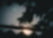 Image de Prabir Kashyap