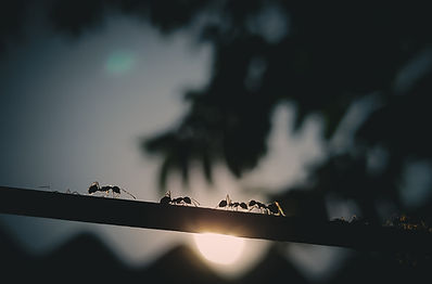 Image by Prabir Kashyap