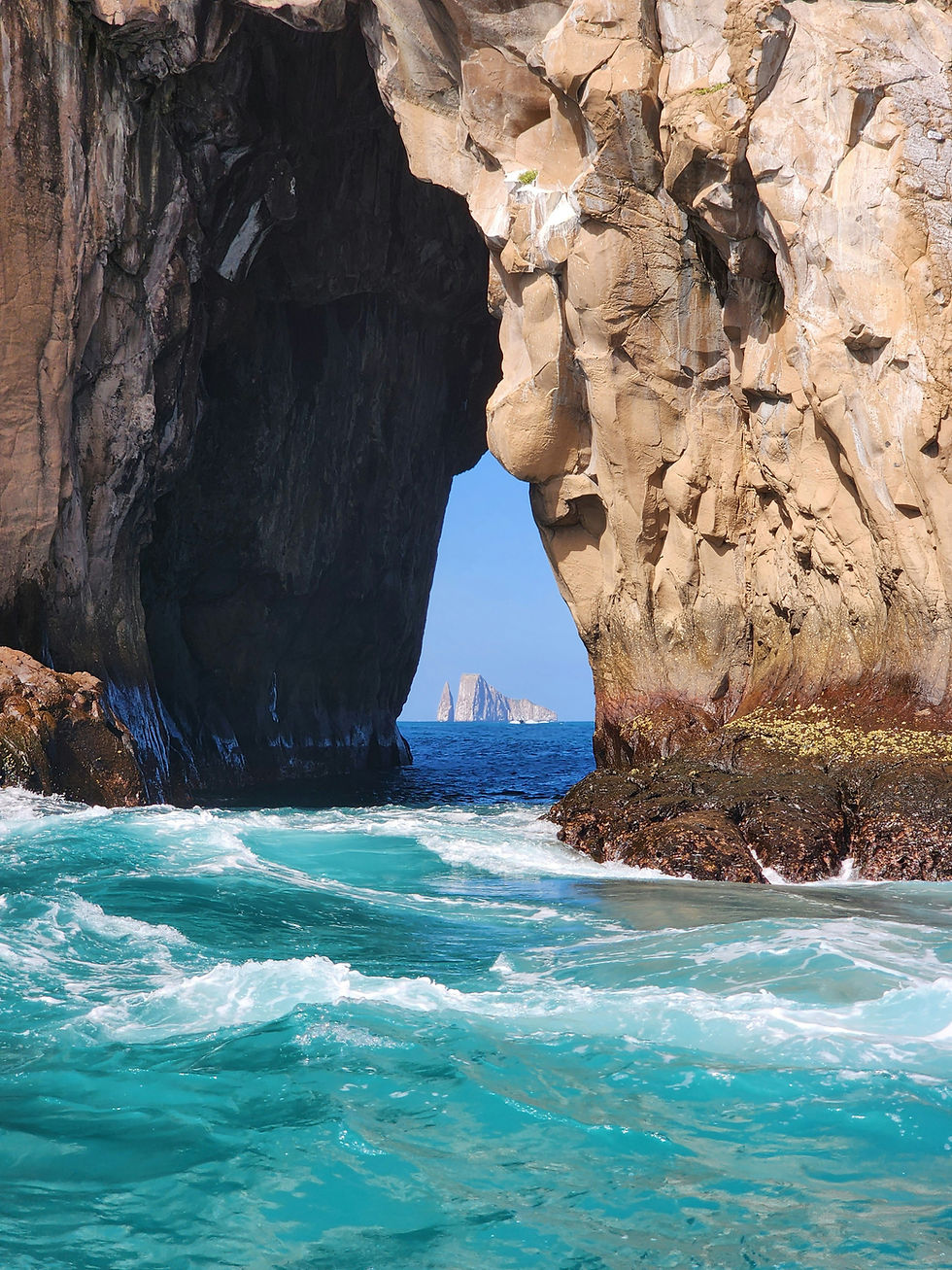 Image by Nicolas Martin