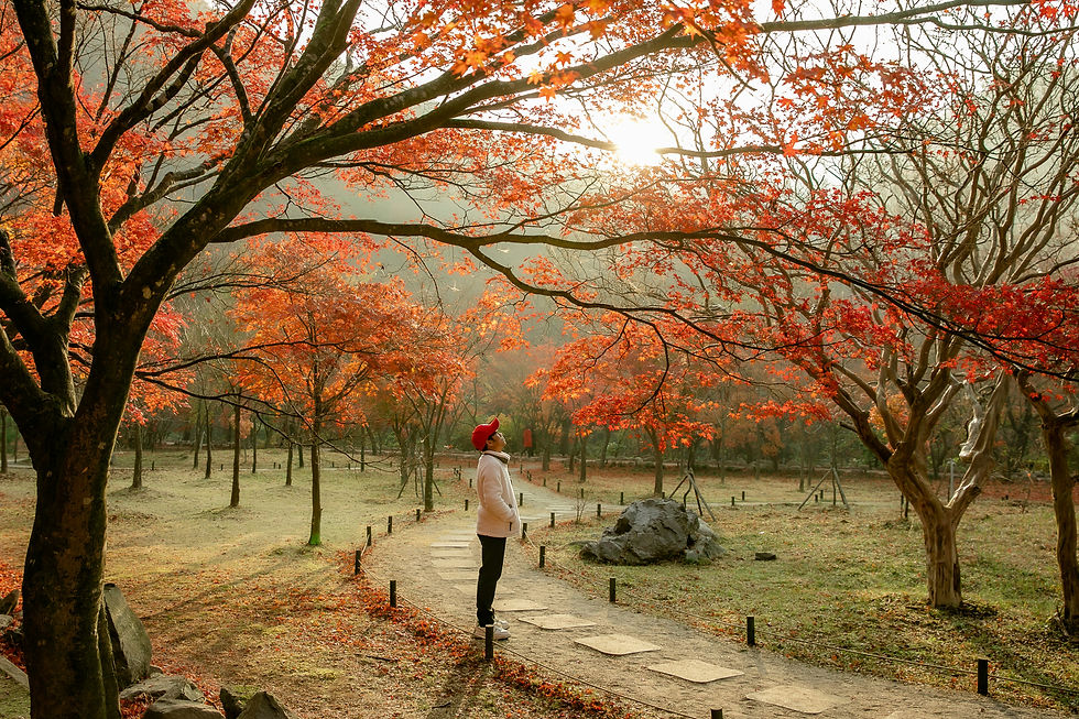 🍁 Thai & Belgian Autumn Traditions: Comfort Food, Seasonal Rituals, and Flavors That Warm the Soul