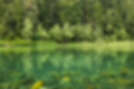 Image de taylor Annis