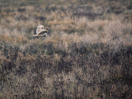 コリント人への第一の手紙3章6-7節