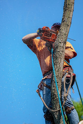 Image by benjamin lehman