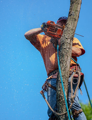 Image by benjamin lehman